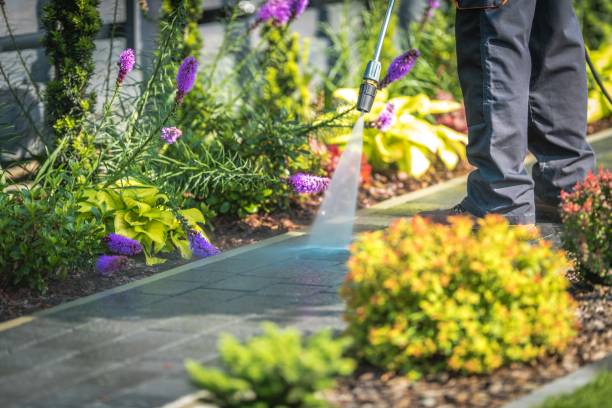 Best Boat and Dock Cleaning  in Kansas City, KS